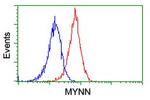 MYNN Antibody in Flow Cytometry (Flow)