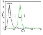 MYOZ1 Antibody in Flow Cytometry (Flow)