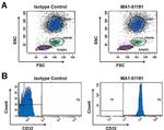 Mouse IgG1 Cross-Adsorbed Secondary Antibody in Flow Cytometry (Flow)