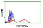 NAPEPLD Antibody in Flow Cytometry (Flow)