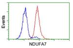 NDUFA7 Antibody in Flow Cytometry (Flow)