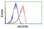 NDUFB9 Antibody in Flow Cytometry (Flow)