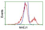 NHEJ1 Antibody in Flow Cytometry (Flow)