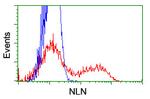 NLN Antibody in Flow Cytometry (Flow)