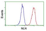 NLN Antibody in Flow Cytometry (Flow)