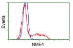 NME4 Antibody in Flow Cytometry (Flow)