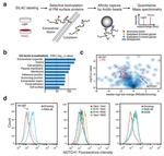 NOTCH1 Antibody in Flow Cytometry (Flow)