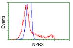 NPR3 Antibody in Flow Cytometry (Flow)