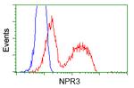 NPR3 Antibody in Flow Cytometry (Flow)