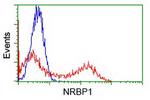 NRBP1 Antibody in Flow Cytometry (Flow)