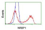 NRBP1 Antibody in Flow Cytometry (Flow)