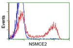 NSMCE2 Antibody in Flow Cytometry (Flow)