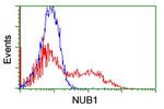 NUB1 Antibody in Flow Cytometry (Flow)