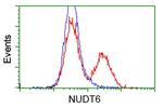 NUDT6 Antibody in Flow Cytometry (Flow)