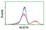NUDT9 Antibody in Flow Cytometry (Flow)