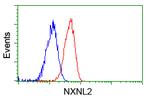 NXNL2 Antibody in Flow Cytometry (Flow)