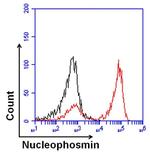 NPM1 Antibody in Flow Cytometry (Flow)