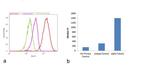 Mouse IgG (H+L) Secondary Antibody in Flow Cytometry (Flow)