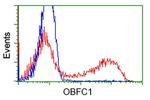 OBFC1 Antibody in Flow Cytometry (Flow)