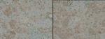 TNIK Antibody in Immunohistochemistry (Paraffin) (IHC (P))