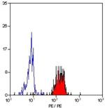 SMC4 Antibody in Flow Cytometry (Flow)