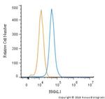 BMAL1 Antibody in Flow Cytometry (Flow)