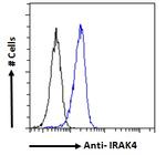 IRAK4 Antibody in Flow Cytometry (Flow)