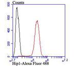 HIP1 Antibody in Flow Cytometry (Flow)