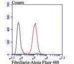 Fibrillarin Antibody in Flow Cytometry (Flow)