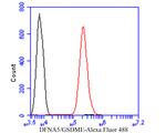 DFNA5 Antibody in Flow Cytometry (Flow)