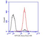 NPY2R Antibody in Flow Cytometry (Flow)