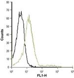 CXCR2 (extracellular) Antibody in Flow Cytometry (Flow)