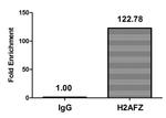 H2A.ZK7ac Antibody in ChIP Assay (ChIP)