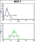 BID Antibody in Flow Cytometry (Flow)