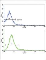 CD45 Antibody in Flow Cytometry (Flow)