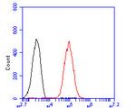 SYNDIG1 Antibody in Flow Cytometry (Flow)