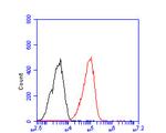 Importin 9 Antibody in Flow Cytometry (Flow)