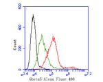 GNB5 Antibody in Flow Cytometry (Flow)