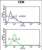 FUT1 Antibody in Flow Cytometry (Flow)