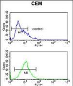 Cytokeratin 10 Antibody in Flow Cytometry (Flow)