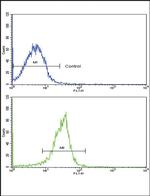 SPARC Antibody in Flow Cytometry (Flow)