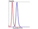 CLOCK Antibody in Flow Cytometry (Flow)