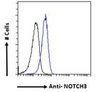 NOTCH3 Antibody in Flow Cytometry (Flow)