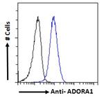 ADORA1 Antibody in Flow Cytometry (Flow)