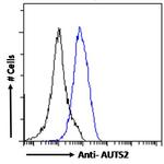 AUTS2 Antibody in Flow Cytometry (Flow)