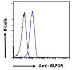 GLP1R Antibody in Flow Cytometry (Flow)