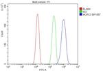 MORC3 Antibody in Flow Cytometry (Flow)