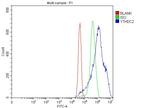 YTHDC2 Antibody in Flow Cytometry (Flow)