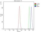 WDR3 Antibody in Flow Cytometry (Flow)