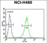 SESN1 Antibody in Flow Cytometry (Flow)